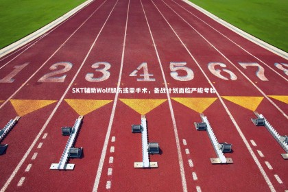 南宫28_SKT辅助Wolf腿伤或需手术，备战计划面临严峻考验
